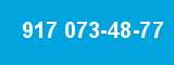 917 073-48-77